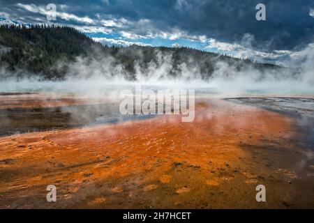 Spuren von Mineralvorkommen, Dampf steigt aus Grand Prismatic Spring, Midway Geyser Basin, Yellowstone National Park, Wyoming, USA Stockfoto