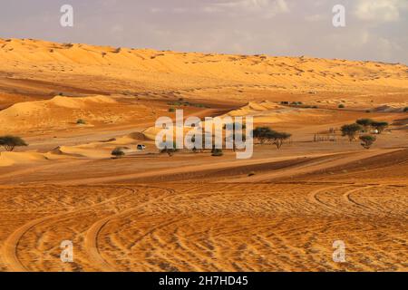 Die Wüste Rub al-Khali im Oman ist eine der größten Sandwüsten der Erde Stockfoto