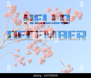 Natur Dezember Hintergrund mit Nachricht Hallo Dezember. Text auf dem Hintergrund von Ebereschen Ästen mit leuchtend roten Beeren und blauem klaren Himmel. Stockfoto