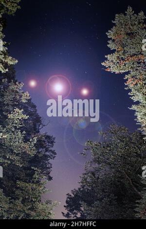 UFO-Konzept. Glühende Kugeln, die über Bäumen am Nachthimmel schweben. Mit einer vertikalen Bearbeitung. Stockfoto