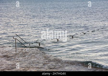 Stahlhandlauf, der ins Meer führt, Novigrad, Istrien, Kroatien, Europa. Stockfoto