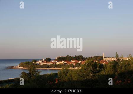 Morgenlicht auf Novigrad, Istrien, Kroatien, Europa. Stockfoto