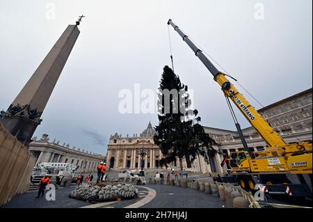 Vatikan, Vatikan. 23rd. November 2021. Italien, Rom, Vatikan, 2021/11/23 Ein Kran hebt einen Weihnachtsbaum, eine Fichte von 28 Metern, der aus den Wäldern von Andalo im Trentino stammt, während er am Petersplatz im Vatikan installiert wurde. Foto von Alessia Giuliani/Catholic Press Photo. BESCHRÄNKT AUF REDAKTIONELLE VERWENDUNG - KEIN MARKETING - KEINE WERBEKAMPAGNEN. Kredit: Unabhängige Fotoagentur/Alamy Live Nachrichten Stockfoto