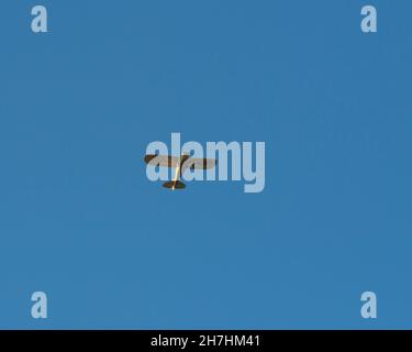 Kleines Privatflugzeug im Flug Stockfoto