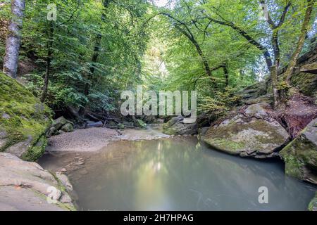 Kristallklares kalkhaltiges Wasser im Fluss Black Ernz zwischen riesigen Sandsteinsteinen zwischen Bäumen und grüner Wildvegetation im Hintergrund, Muller Stockfoto