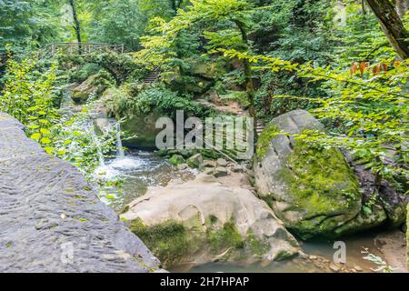 Mullerthal Trail, Steinbrücke über den Fluss Ernz Black, Schiessentümpel Wasserfall, Wasser fließt zwischen den Felsen, Steintreppen, wilde Vegetation hinein Stockfoto