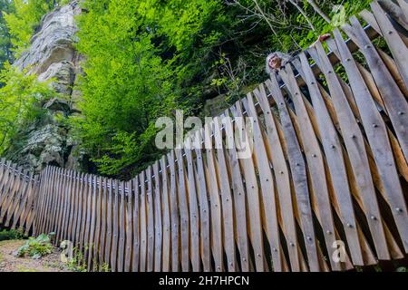 Holzleiter an der Seite eines felsigen Sandsteinberges zwischen Bäumen und wilder Vegetation, ältere weibliche Touristen, die sich auslehnen, untere Perspektive, bewölkt Stockfoto