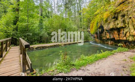 Kallektuffquell Wasserfall, Mullerthal Trail, Holzbrücke, kristallklares kalkhaltiges Wasser in einem Becken, fallendes Wasser, moosbedeckte Felsformation, tre Stockfoto