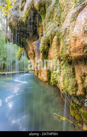 Kallektuffquell Wasserfall mit kristallklarem kalkhaltigem Wasser, das zwischen moosbedeckten Felsformationen in einem Becken fließt, Bäume im Hintergrund, Müller Stockfoto