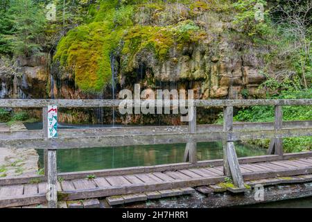 Holzbrücke über ein Becken auf dem Mullerthal Trail, Kallektuffquell Wasserfall und wilde Vegetation im Hintergrund, kristallklares kalkhaltiges Wasser Stockfoto