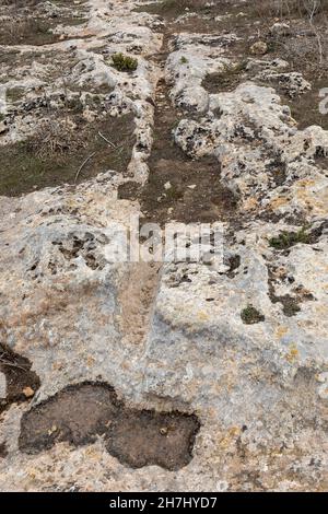 Die geheimnisvollen Karren, die in den Felsen an der Clapham Junction in Malta, Europa, gehauen wurden Stockfoto