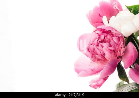Bouquet von rosa Pfingstrosen Nahaufnahme isoliert auf weißem Hintergrund mit Kopierraum. Blumenkarte, Bannermotiv Stockfoto