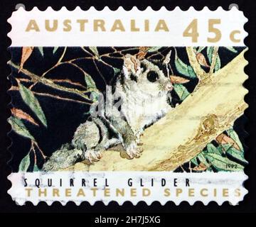 AUSTRALIEN - UM 1992: Eine in Australien gedruckte Marke zeigt Squirrel Glider, Petaurus Norfolcensis, Nocturnal Gliding Possum, Beuteltier, Cir Stockfoto