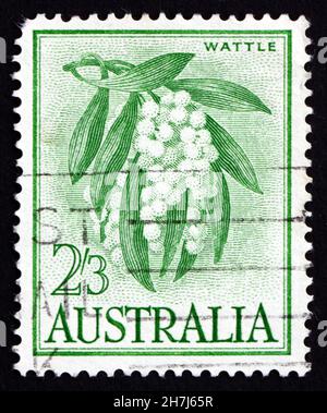 AUSTRALIEN - UM 1959: Eine in Australien gedruckte Marke zeigt Golden Wattle, Acacia Pycnantha, Tree, um 1959 Stockfoto