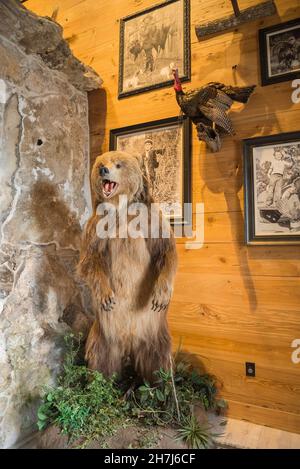 Wunderschön gearbeiteter und massiver Steinkamin, umgeben von Tieren, in einem Outdoor-Erholungsgeschäft in Nord-Zentral-Florida. Stockfoto