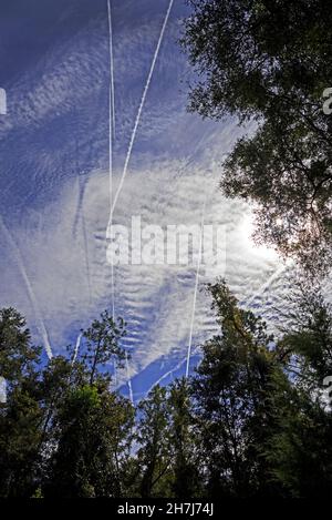 Jet kontraingt gegen einen kühlen, herniederfallenden Himmel über Nord-Zentral-Florida hinterlassen wunderschöne Muster, während sie sich in der Atmosphäre zerstreuen. Stockfoto