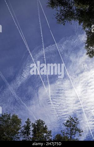 Jet kontraingt gegen einen kühlen, herniederfallenden Himmel über Nord-Zentral-Florida hinterlassen wunderschöne Muster, während sie sich in der Atmosphäre zerstreuen. Stockfoto