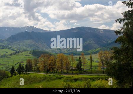 Wunderschöne Berge, Hügel und Felder. Sommerurlaub in den Bergen Stockfoto