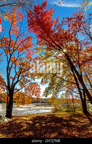 Lake Wallenpaupack in Poconos PA an einem hellen Herbsttag gesäumt von Bäumen in lebhaftem und schönem Laub Stockfoto