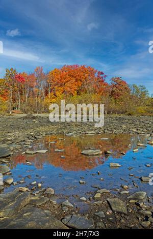 Lake Wallenpaupack in Poconos PA an einem hellen Herbsttag gesäumt von Bäumen in lebhaftem und schönem Laub Stockfoto