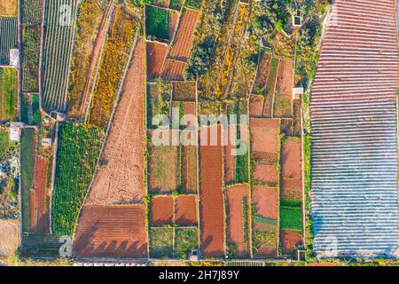 Luftaufnahme der verschiedenen Felder von Pflanzen und Gewächshäusern. Konzept des agro-industriellen Komplexes Stockfoto