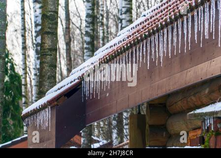 Eiszapfen und Schnee auf dem Dach eines Holzhauses. Winterlandschaft. Leningrad Stockfoto