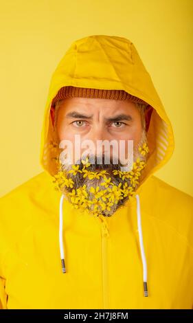 Ein hübscher Mann in einem gelben Regenmantel mit einem Blumenbart auf einem gelben Hintergrund Stockfoto