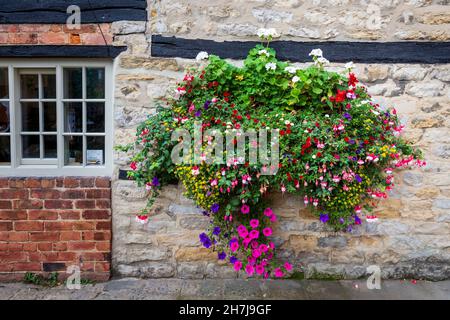 Ein farbenfroher Hängekorb in einer Seitenstraße von Helmsley, North York Moors National Park, Yorkshire, England Stockfoto
