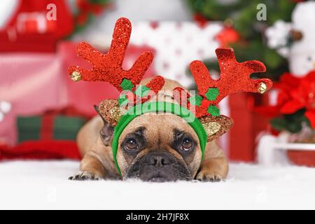 Rentier Weihnachten Kostüm Hund. Niedliche französische Bulldogge mit Geweih vor saisonaler Dekoration Stockfoto