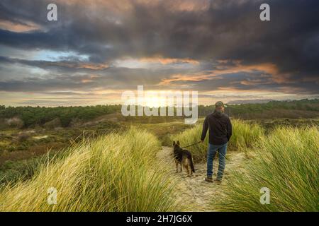 Ein Mann geht mit seinem Hund ein Deutscher Schäferhund auf einem sandigen Weg zwischen Marrammgras über die Spitze einer Düne an der Küste von Zeeland bei Burgh-Haamstede Stockfoto