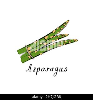 Spargellogo. Gemüse-Symbol. Vektorgrafik flach Stock Vektor