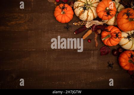 Halloween Motto Komposition mit Kopieplatz. Kürbisse, Spinnen, Mais auf dunklem rustikalem Holzhintergrund. Halloween Hintergrund Draufsicht. Stockfoto