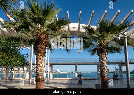 El Palmeral de las Sorpresas, Promenade, Hafen, Malaga, Costa del Sol, Provinz Malaga, Andalusien, Spanien, Europa Stockfoto