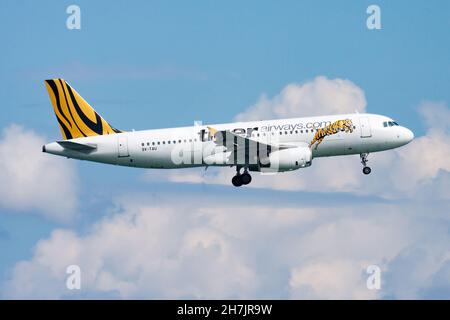 Phuket, Thailand - 25. November 2013: Tiger Airways Passagierflugzeug am Flughafen. Flugreisen planen. Luftfahrt und Flugzeuge. Luftverkehr. Global i Stockfoto