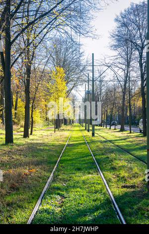 Perspektivischer Blick auf die Straßenbahnstrecke zwischen Scheveningen und der Stadt Den Haag an einem sonnigen Herbsttag Stockfoto