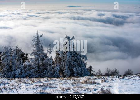 Winterlandschaft mit Bäumen bedeckt mit Schnee Reif. Winterszene mit verschneiten Wäldern. Stockfoto