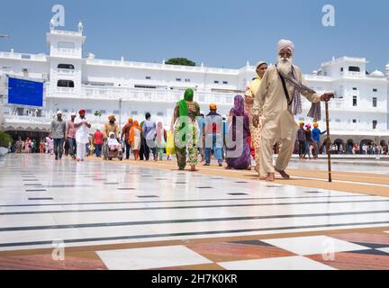 Amritsar, Indien - 15. AUGUST: Porträt eines indischen Sikh-alten Mannes, der am 15. August 2016 i am Marmorsteinboden im Goldenen Tempel (Harmandir Sahib) spazieren ging Stockfoto