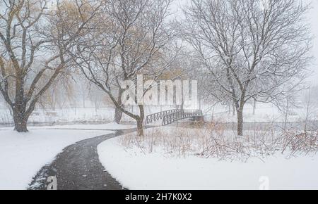 Leerer Fußpfad, der sich bei einem Schneesturm an schneebedeckten Bäumen vorbei zu einer Brücke schlängt Stockfoto