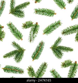 Draufsicht flach legen grünen Tanne Fichte nahtlose Muster auf weißem Hintergrund. Stockfoto