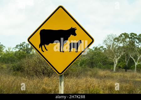 Kühe und Schafe beim Überqueren auf Straßenschild in ländlichem Buschland Stockfoto