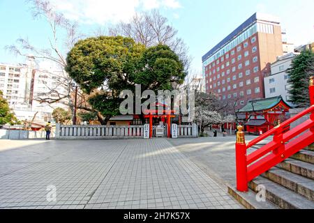 Der Hanazono-Schrein mit leuchtend farbigen Gebäuden und Torientoren in Shinjuku, Tokio, Japan. Es ist eines der wichtigsten Inari-Schreine in Japan. Stockfoto