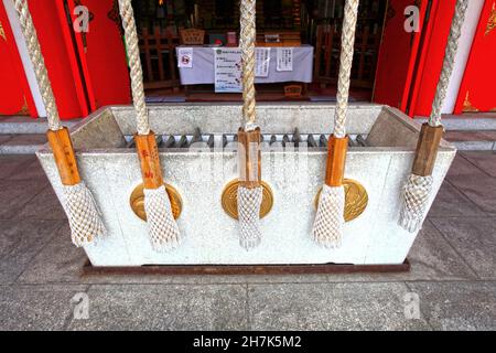 Der Hanazono-Schrein mit leuchtend farbigen Gebäuden und Torientoren in Shinjuku, Tokio, Japan. Es ist eines der wichtigsten Inari-Schreine in Japan. Stockfoto