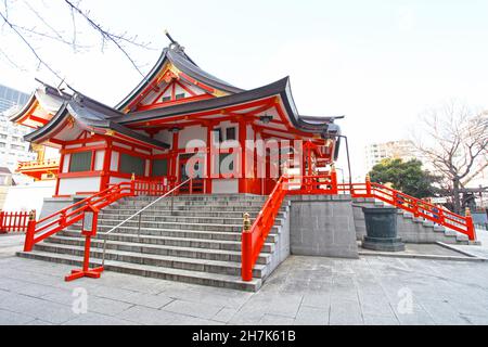 Der Hanazono-Schrein mit leuchtend farbigen Gebäuden und Torientoren in Shinjuku, Tokio, Japan. Es ist eines der wichtigsten Inari-Schreine in Japan. Stockfoto