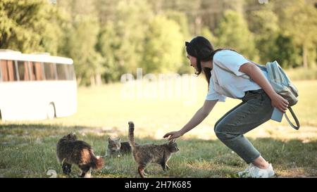 Ein junges Mädchen füttert Katzen im Dorf. Stockfoto