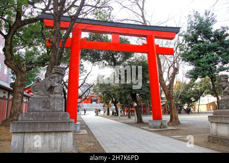 Der Hanazono-Schrein mit leuchtend farbigen Gebäuden und Torientoren in Shinjuku, Tokio, Japan. Es ist eines der wichtigsten Inari-Schreine in Japan. Stockfoto