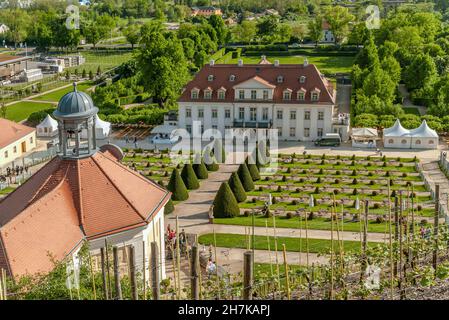 Hauptgebäude des Sächsischen Staatsweingutes Schloss Wackerbarth in Radebeul, Sachsen, Deutschland Stockfoto
