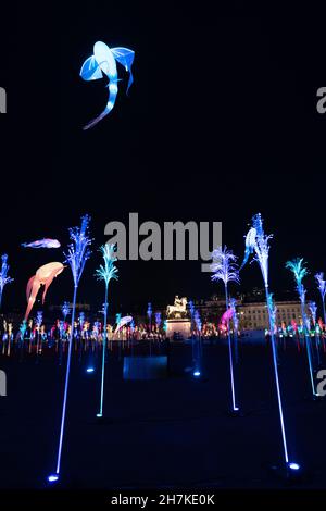 4. Dezember 2019, Lyon, Frankreich, Lichterfest. Show auf dem Place Bellecour. Stockfoto