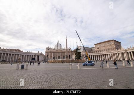 Rom, Italien. 23rd. November 2021. Weihnachtsbaum wird auf dem Petersplatz in Rom hochgezogen (Foto: Matteo Nardone/Pacific Press) Quelle: Pacific Press Media Production Corp./Alamy Live News Stockfoto