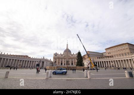 Rom, Italien. 23rd. November 2021. Weihnachtsbaum wird auf dem Petersplatz in Rom hochgezogen (Bild: © Matteo Nardone/Pacific Press via ZUMA Press Wire) Stockfoto