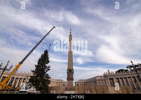 Rom, Italien. 23rd. November 2021. Weihnachtsbaum wird auf dem Petersplatz in Rom hochgezogen (Bild: © Matteo Nardone/Pacific Press via ZUMA Press Wire) Stockfoto